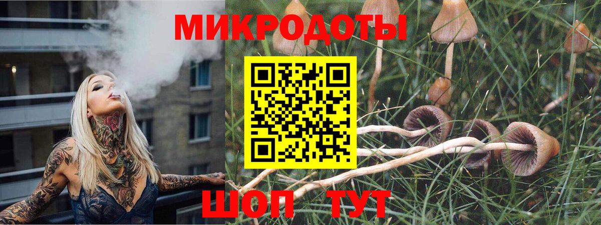 Галлюциногенные грибы MAGIC MUSHROOMS Каспийск